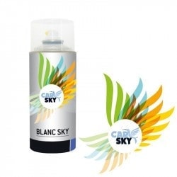 CARSKY Spray Peinture blanc brillant universel